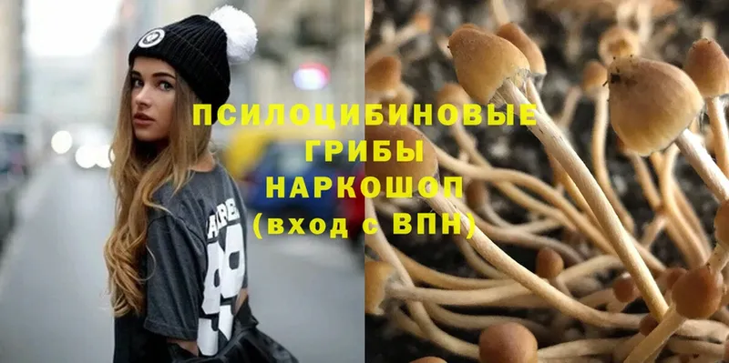 Галлюциногенные грибы MAGIC MUSHROOMS  Краснотурьинск 